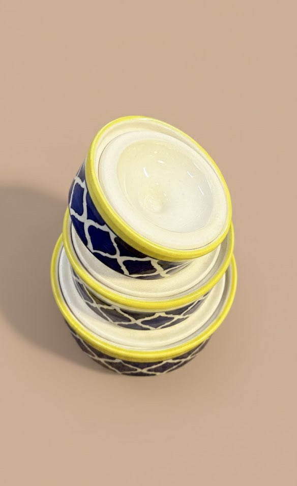 Set Of 3 Handcrafted Ceramic Donga With Lid | Floral  Pattern Storage & Serving Bowls