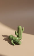 Studio Handcrafted Cactus Ceramic Salt & Pepper Set | Artistic Table Seasoning Shakers
