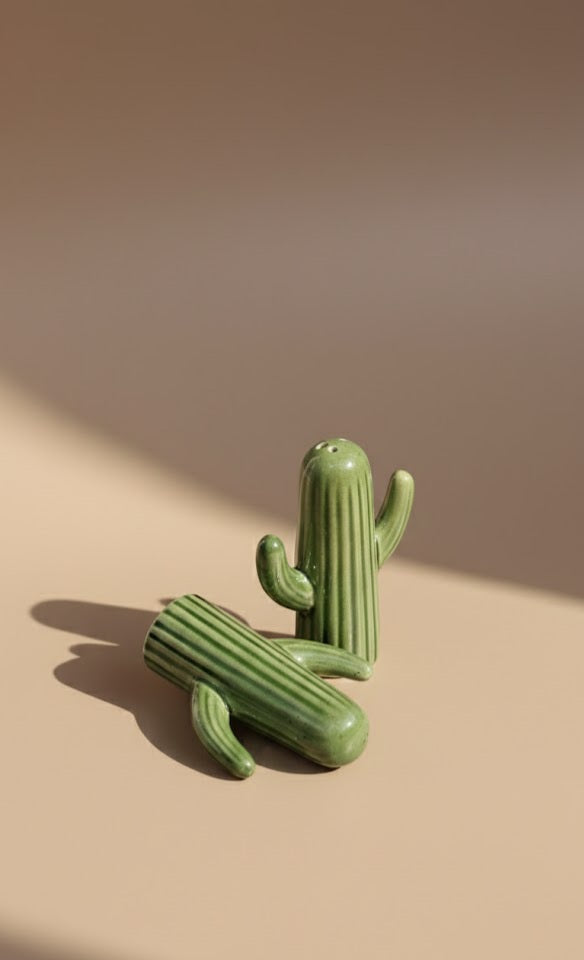 Studio Handcrafted Cactus Ceramic Salt & Pepper Set | Artistic Table Seasoning Shakers